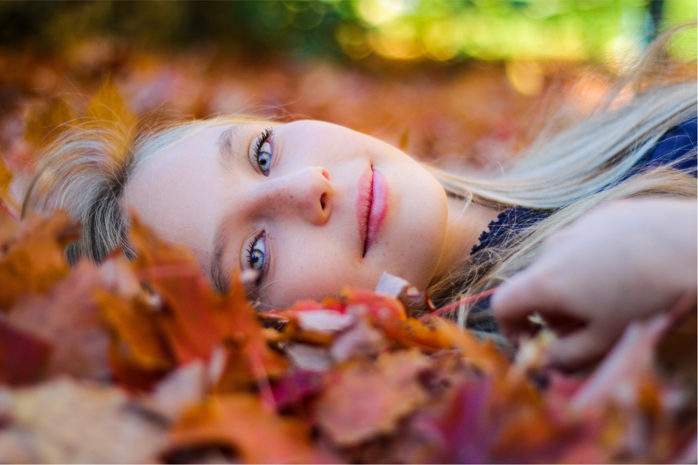 FA_Fall_September_Special